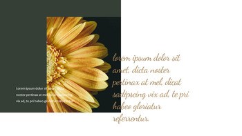 Sonnenblume PowerPoint zu Google Slides_04