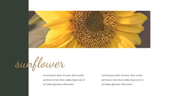 Girasol PowerPoint a Presentaciones de Google_06