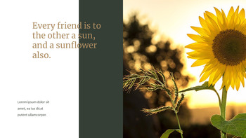 Sunflower PowerPoint to Google Slides_08