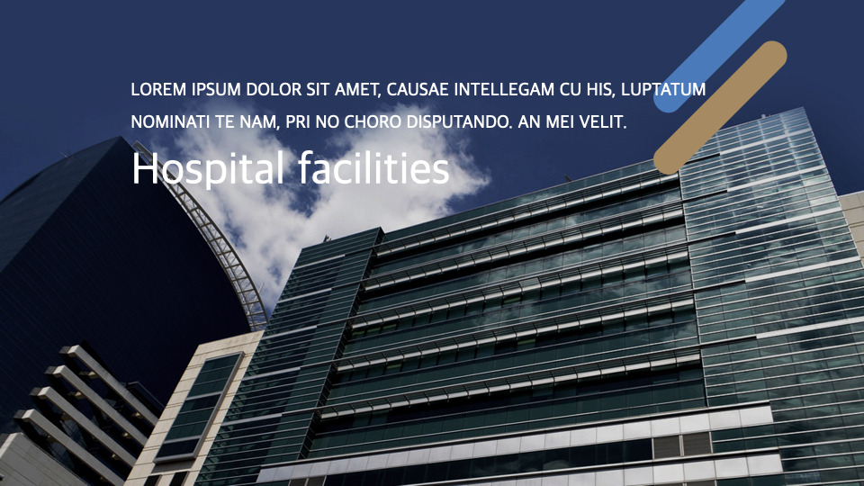 Hospital introduction team presentation template