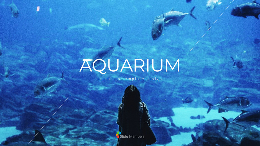 Aquarium Business plan PPT Download_01