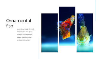 Aquarium Business plan PPT Download_10