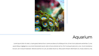 Aquarium Business plan PPT Download_17