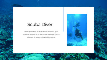 Acquario Presentazione di Google PowerPoint_04