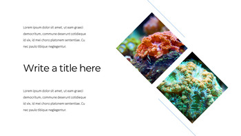 Acquario Presentazione di Google PowerPoint_07