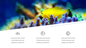 Acquario Presentazione di Google PowerPoint_08