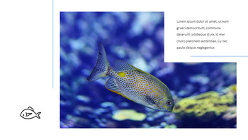 Aquarium Google PowerPoint Presentation_14