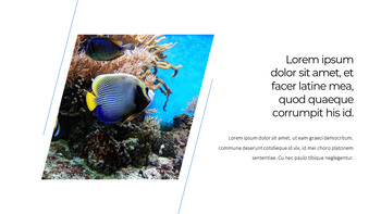 Aquarium Google PowerPoint Presentation_15