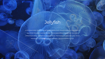 Aquarium Google PowerPoint Presentation_18