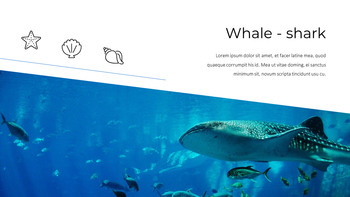 Acquario Presentazione di Google PowerPoint_20