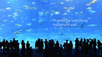 Acquario Presentazione di Google PowerPoint_35