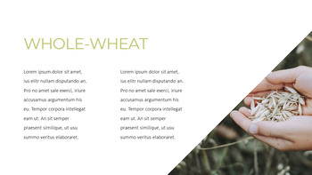 곡물 프로페셔녈한 PPT_04