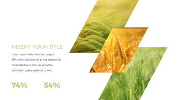 곡물 프로페셔녈한 PPT_20