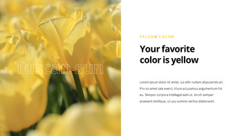 黄色のスペクトル PPTデザインテンプレート_05