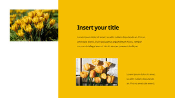 黄色のスペクトル PPTデザインテンプレート_08