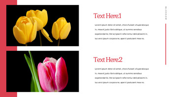 Tulip Easy Slides Design_07