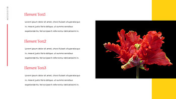 Tulpe Einfaches Folien-Design_08