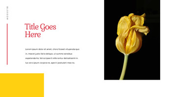 Tulpe Einfaches Folien-Design_10