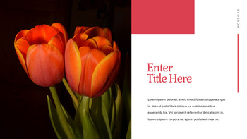 Tulip Easy Slides Design_17