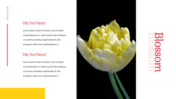 Tulpe Einfaches Folien-Design_18