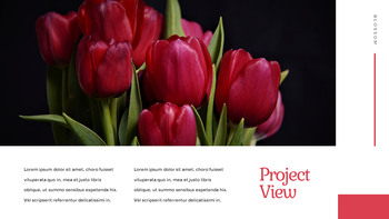 Tulip Easy Slides Design_23