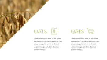 Grain Google Slides Template Design_06