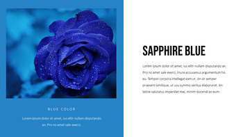 블루 스펙트럼 PPT 템플릿_12