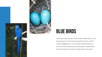 블루 스펙트럼 PPT 템플릿_18