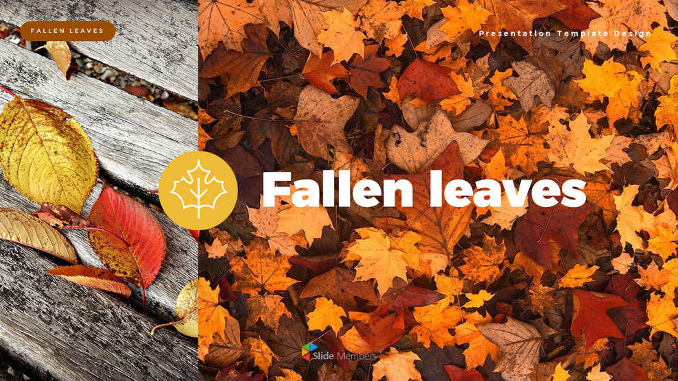 落ち葉 PowerPointのテンプレートマルチデザイン_01