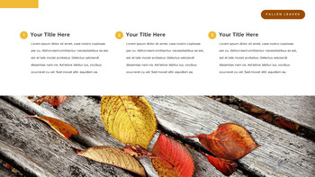 落ち葉 PowerPointのテンプレートマルチデザイン_17
