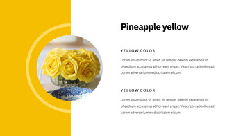 Yellow Spectrum Creative Google Slides_11