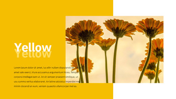 Yellow Spectrum Creative Google Slides_21