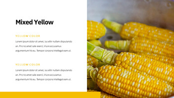 Spettro Giallo Creative Google Slides_22