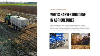 农业和收获 最佳PowerPoint演示文稿模板_04