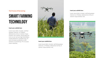 农业和收获 最佳PowerPoint演示文稿模板_06