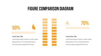 根菜类 PowerPoint演示文稿_26