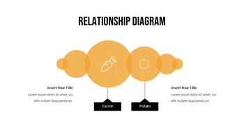 根菜类 PowerPoint演示文稿_31