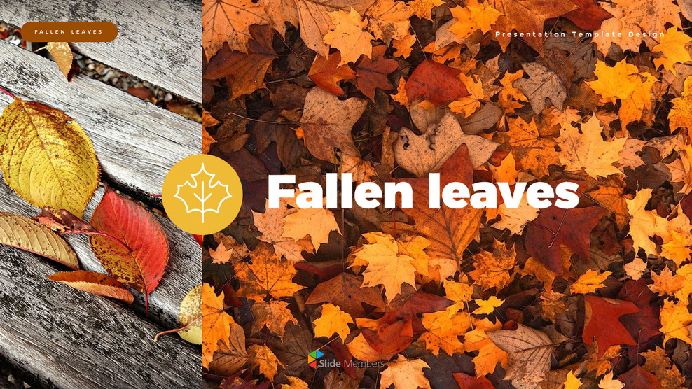 fallen leaves slide template_01