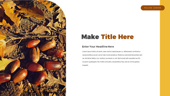 fallen leaves slide template_07