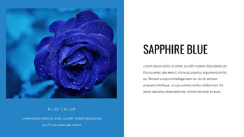 蓝色光谱 谷歌演示幻灯片_12