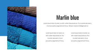 蓝色光谱 谷歌演示幻灯片_20