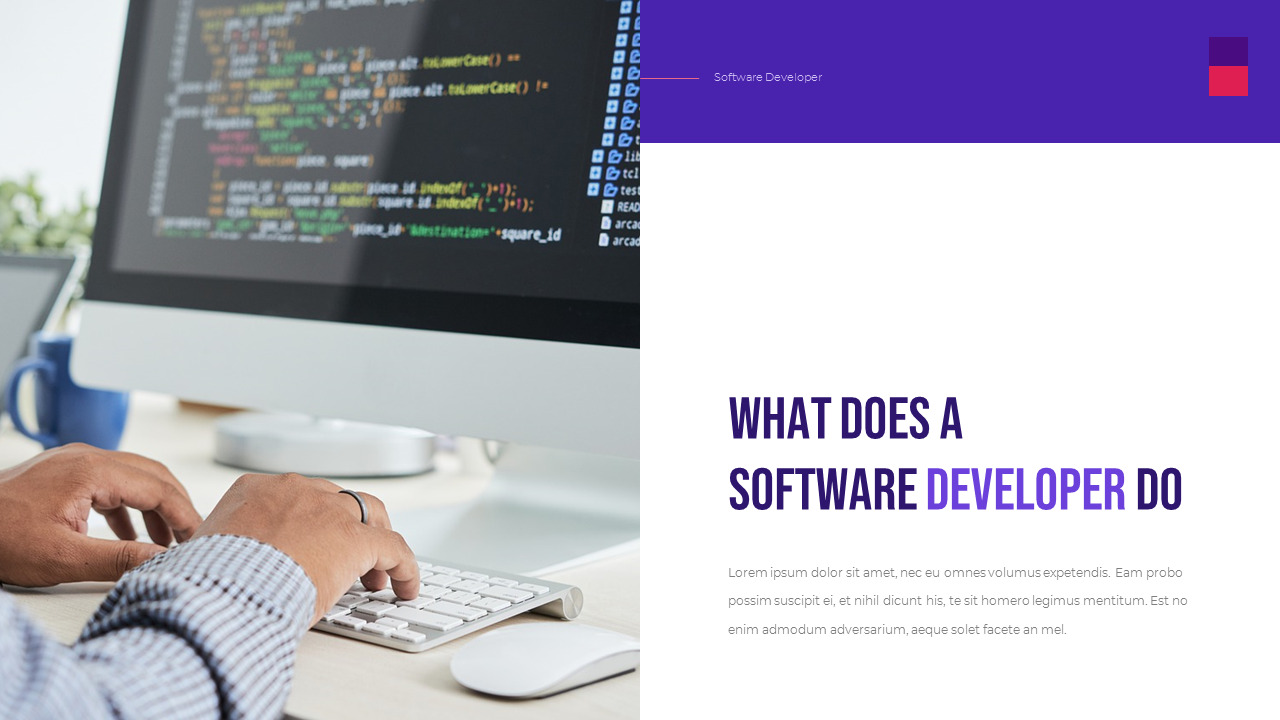 Software Developer Templates PPT
