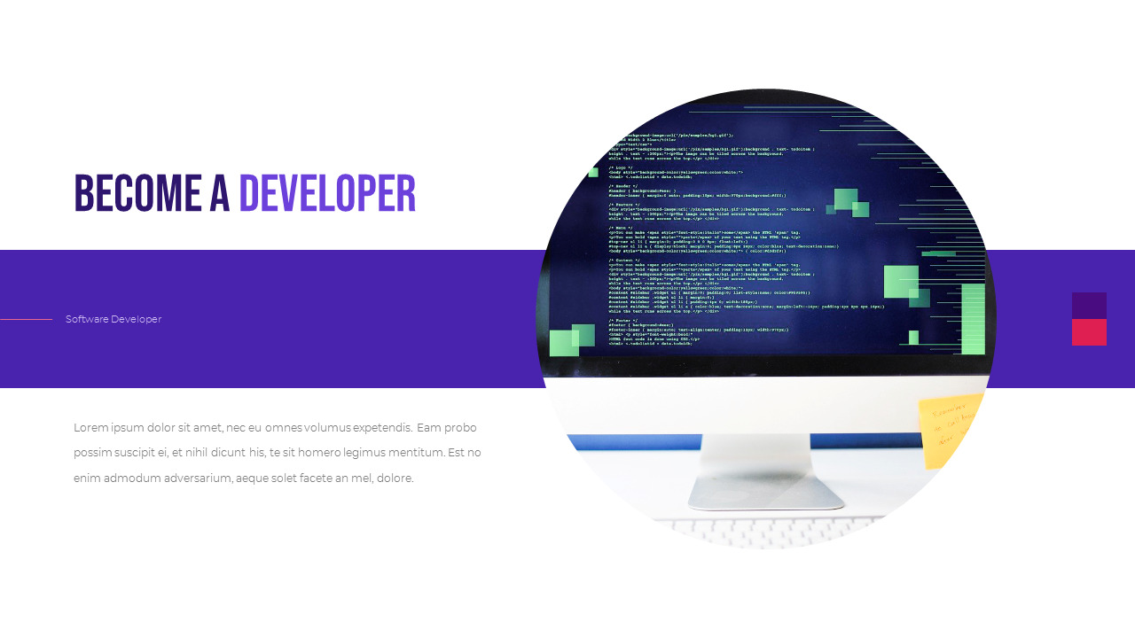 Software Developer Templates PPT