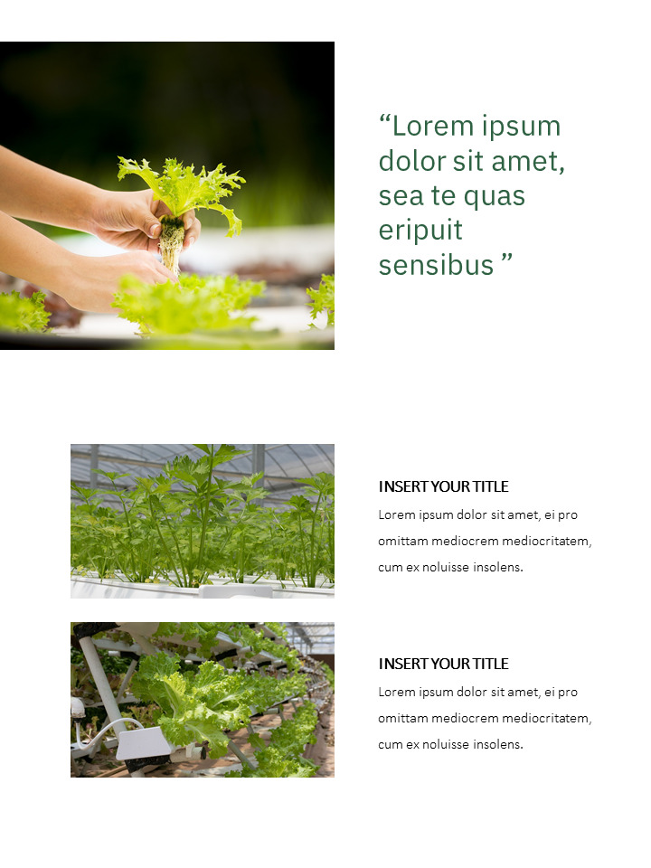 Smart Farming Google Slides Presentation
