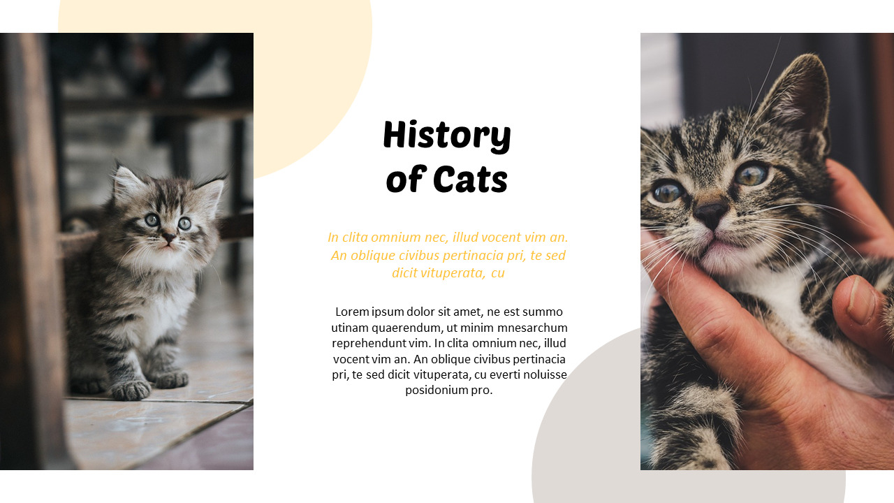 Powerpoint Kitten Tiny Kitten PowerPoint Business Templates|Lifestyle