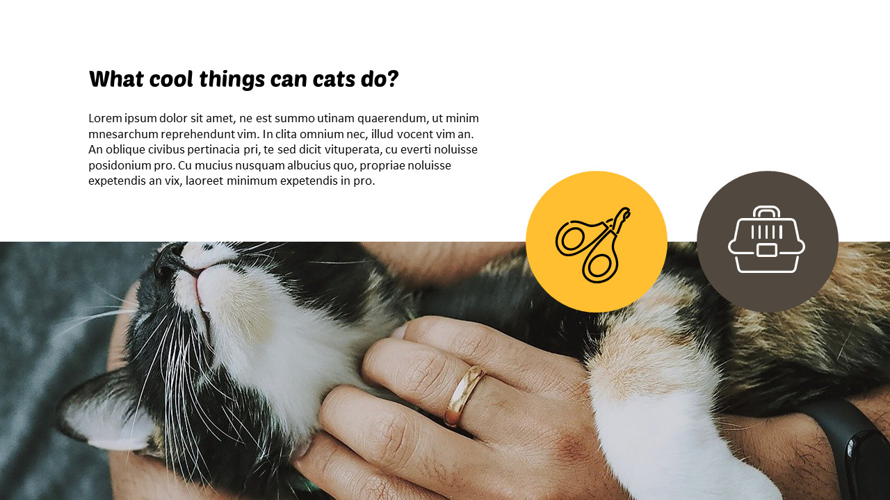 Powerpoint Kitten Tiny Kitten PowerPoint Business Templates|Lifestyle