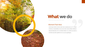 秋山 简单的演示文稿谷歌幻灯片模板_12