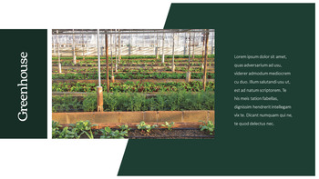温室 テンプレートのデザイン_06