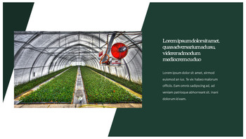 温室 テンプレートのデザイン_20