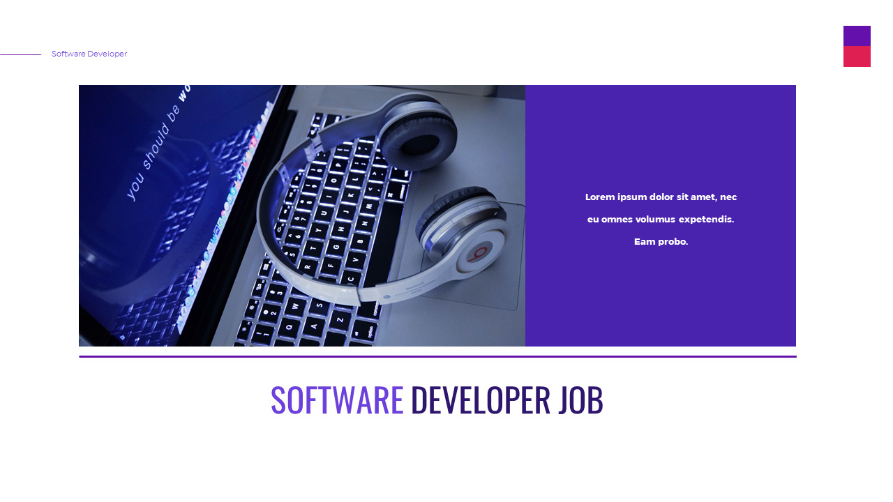 Software Developer Presentation Google Slides Templates